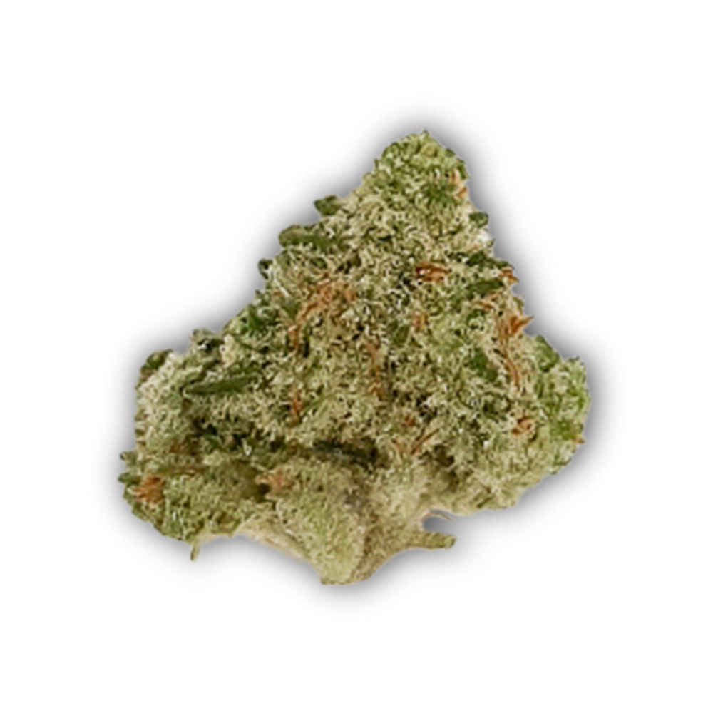 Citradelic Sunset (CCS) (Small Bud) Vireo Small Bud Jane