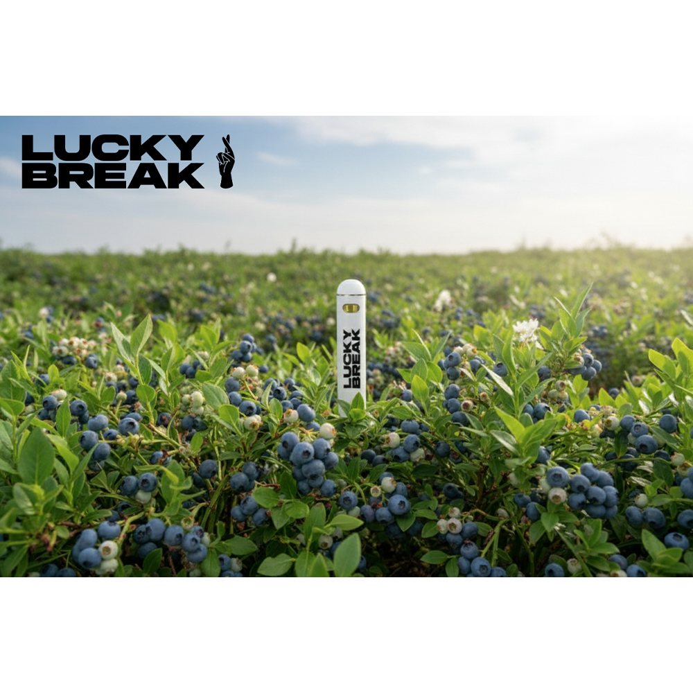 Lucky Break - Blueberry Dream (H) Disposable Vape (0.5g) C0130000037 Lucky Break - Blueberry Dream (H) Disposable Vape (0.5g) C0130000037