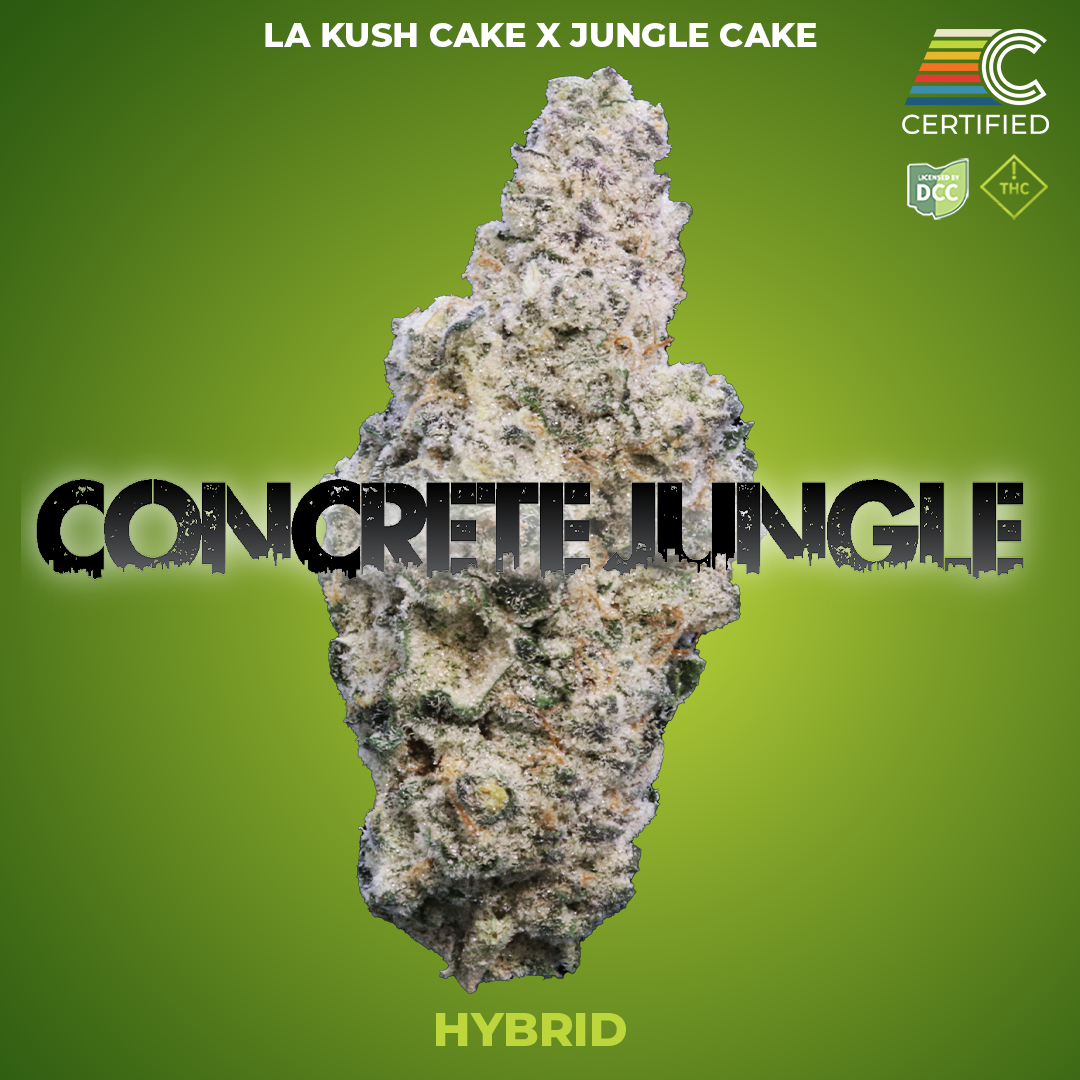 Shop Concrete Jungle [2.83g] | Jane