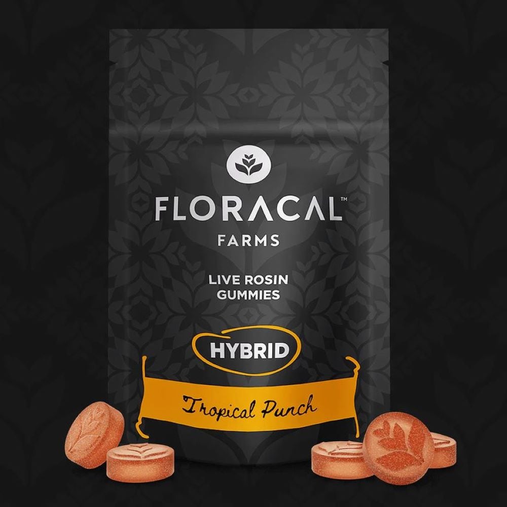 Live Rosin Gummies - Tropical Punch [10pk] (100mg)