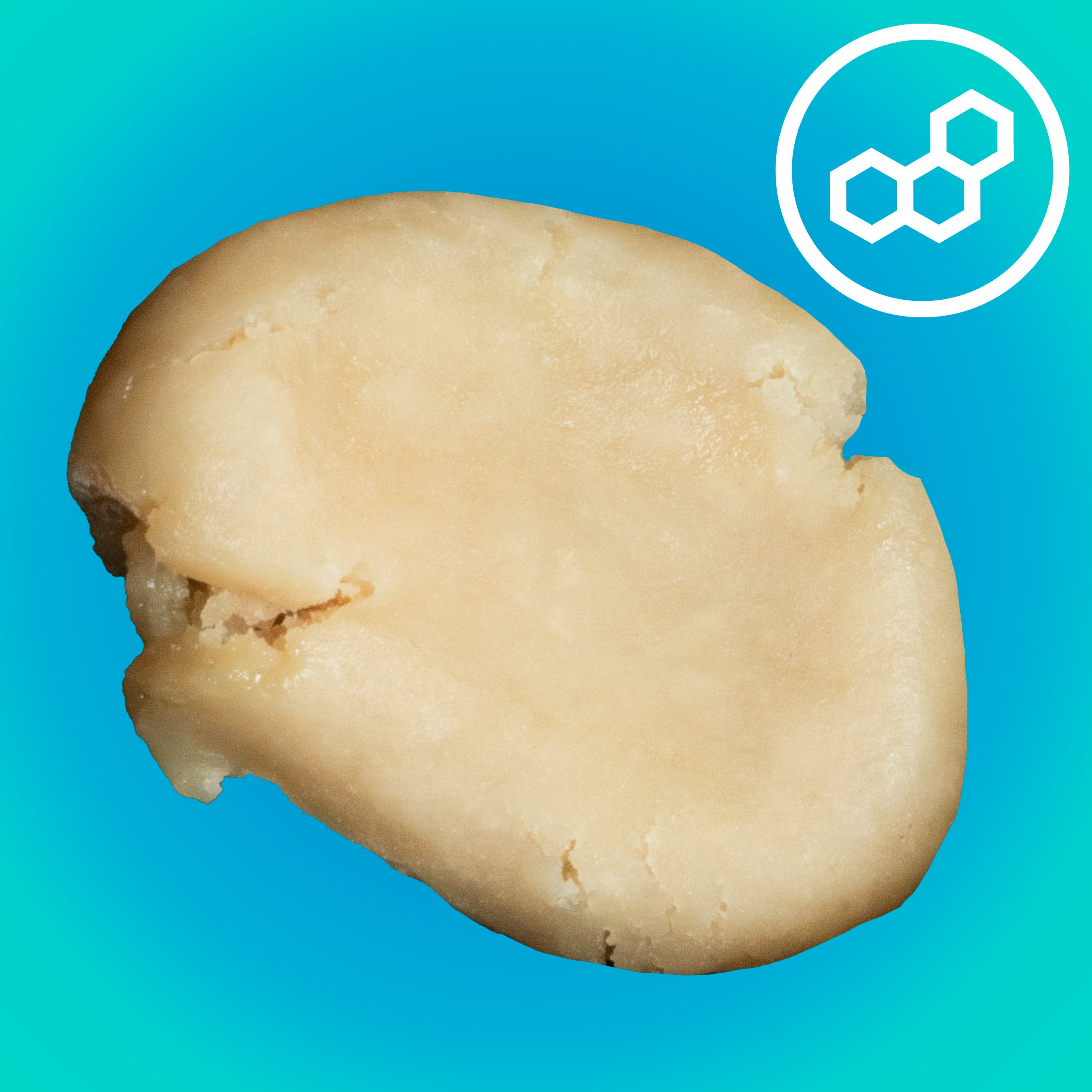 Theraplant  Icee Hot (I) Live Rosin  C0040001222