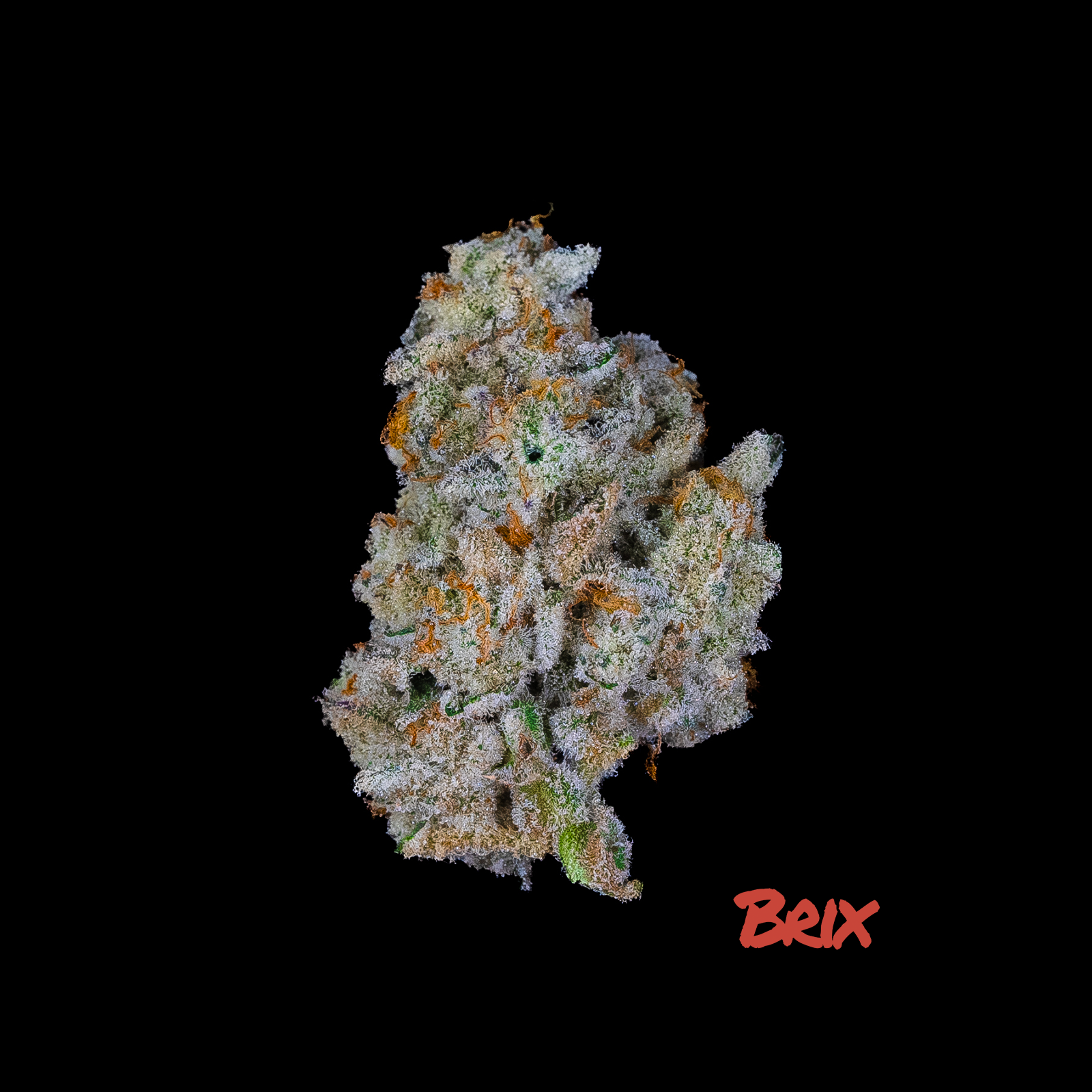 BRIX Cannabis - Cap Junk (H) Flower  C0101000438