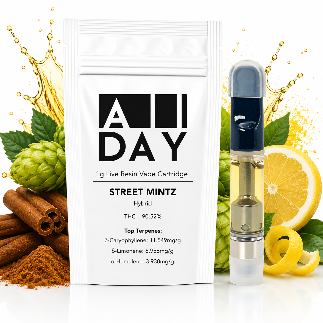 Street Mintz