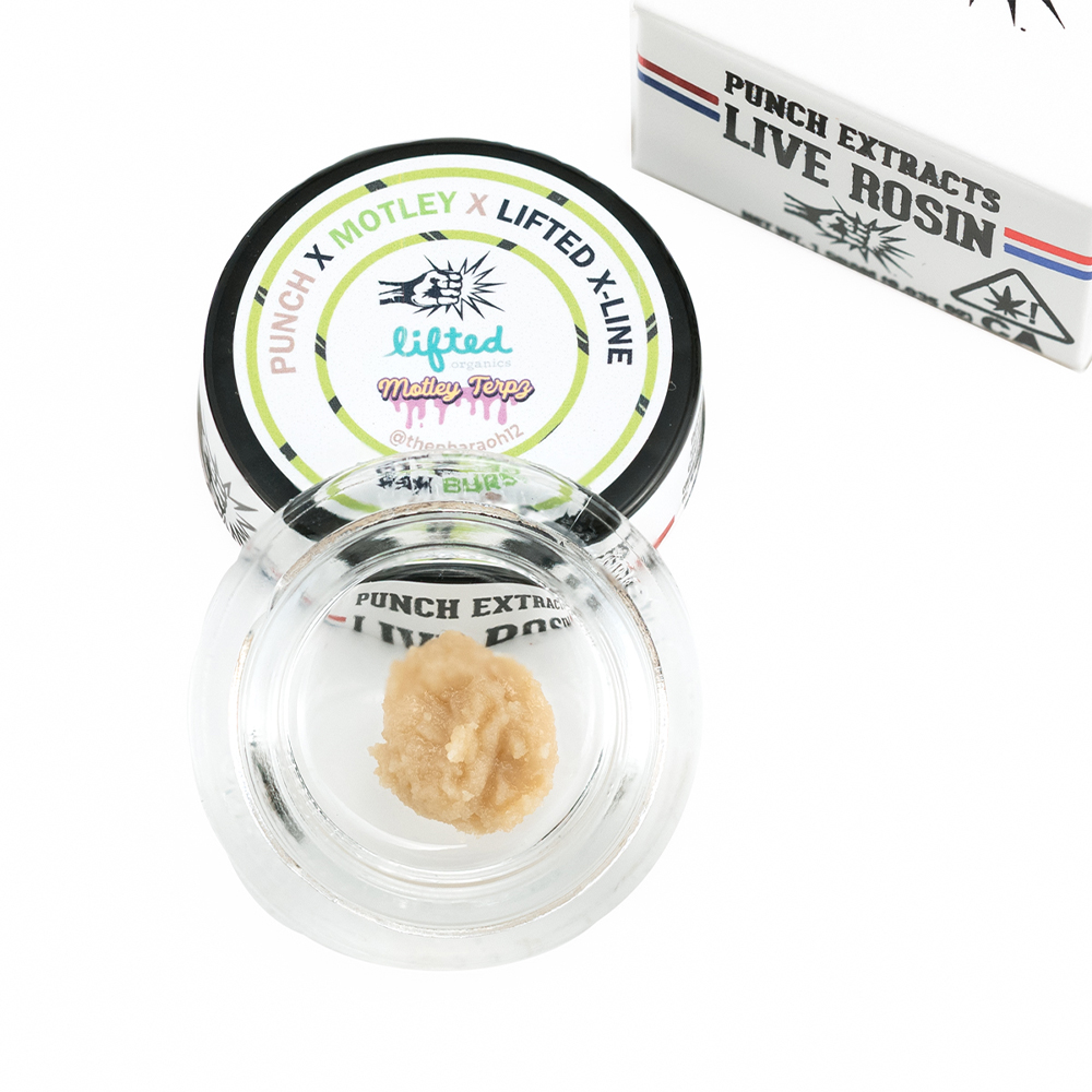 Gak Burst | Punch | Tier 4 Live Rosin Cold Cure Badder - Jane