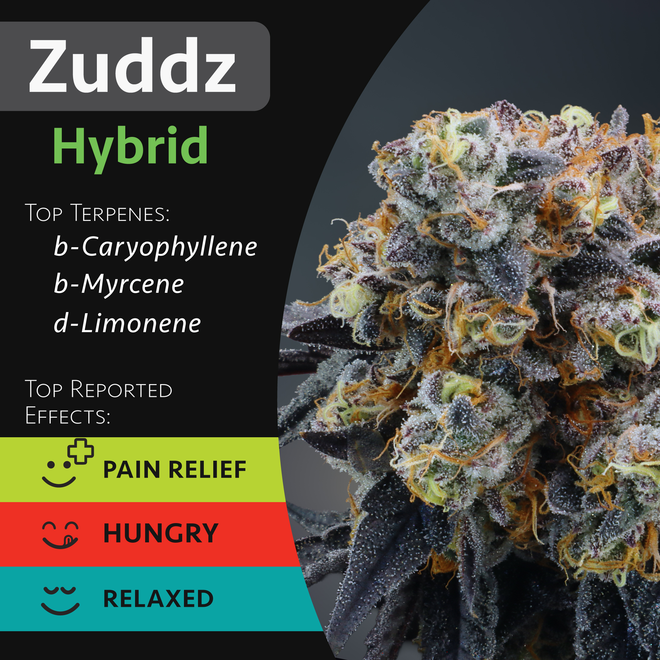Shop Zuddz | GraniteLeaf Cannabis - Merrimack Dispensary Merrimack, NH