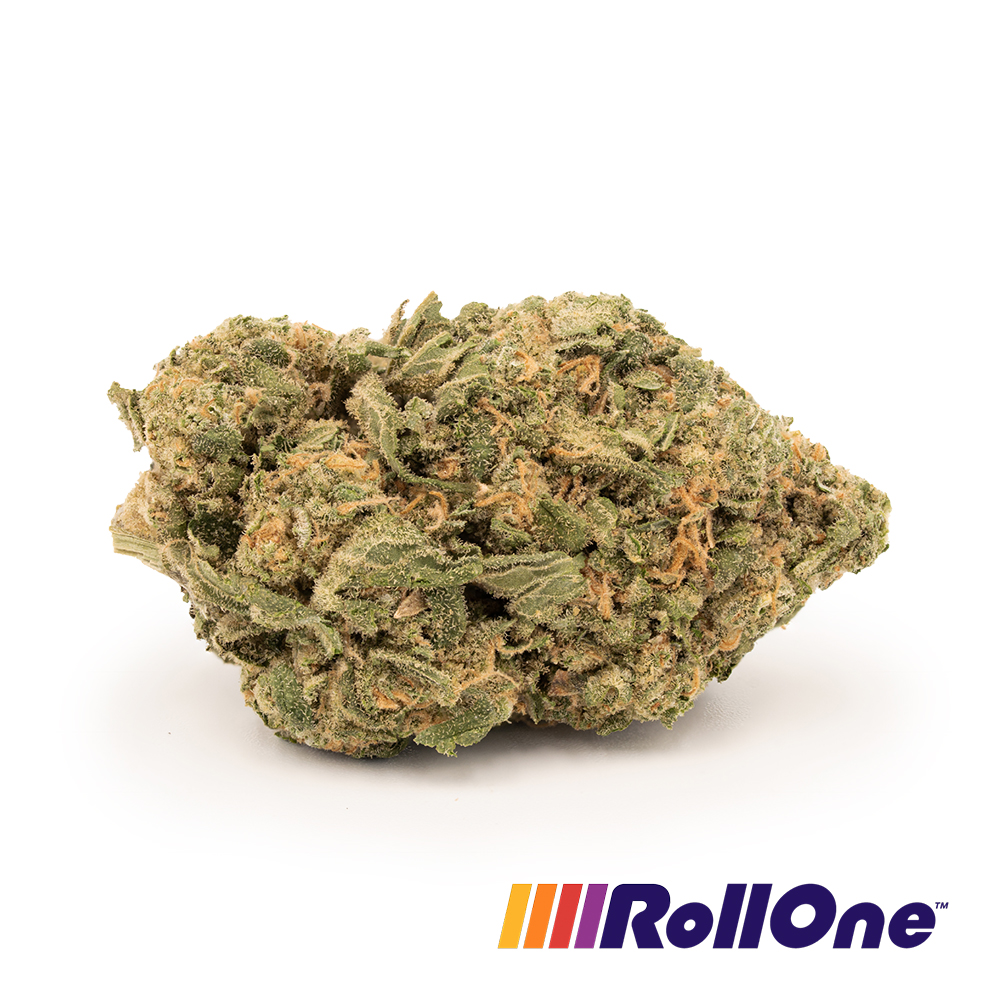 Afghani