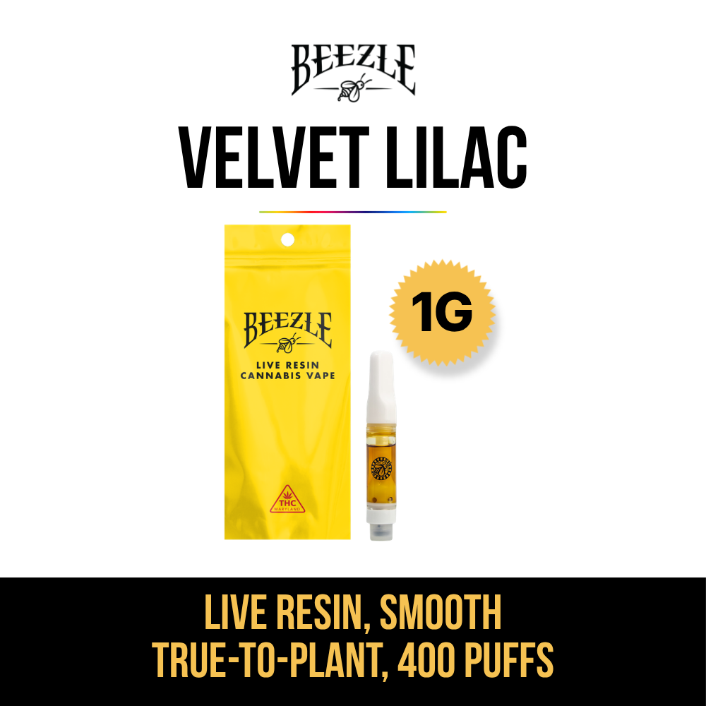 Velvet Lilac