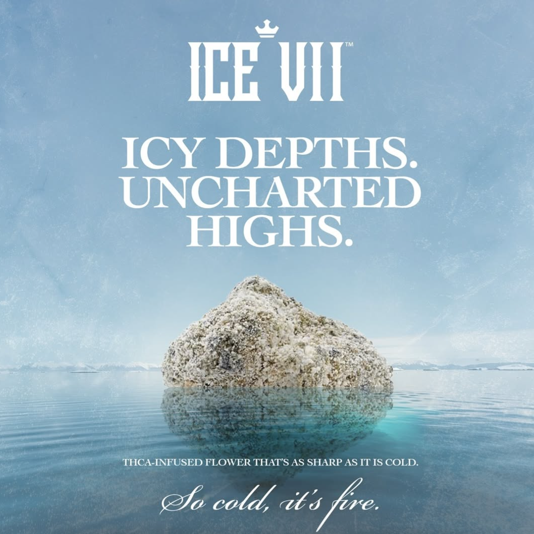 Coka x Arctic Bloom - Ice VII