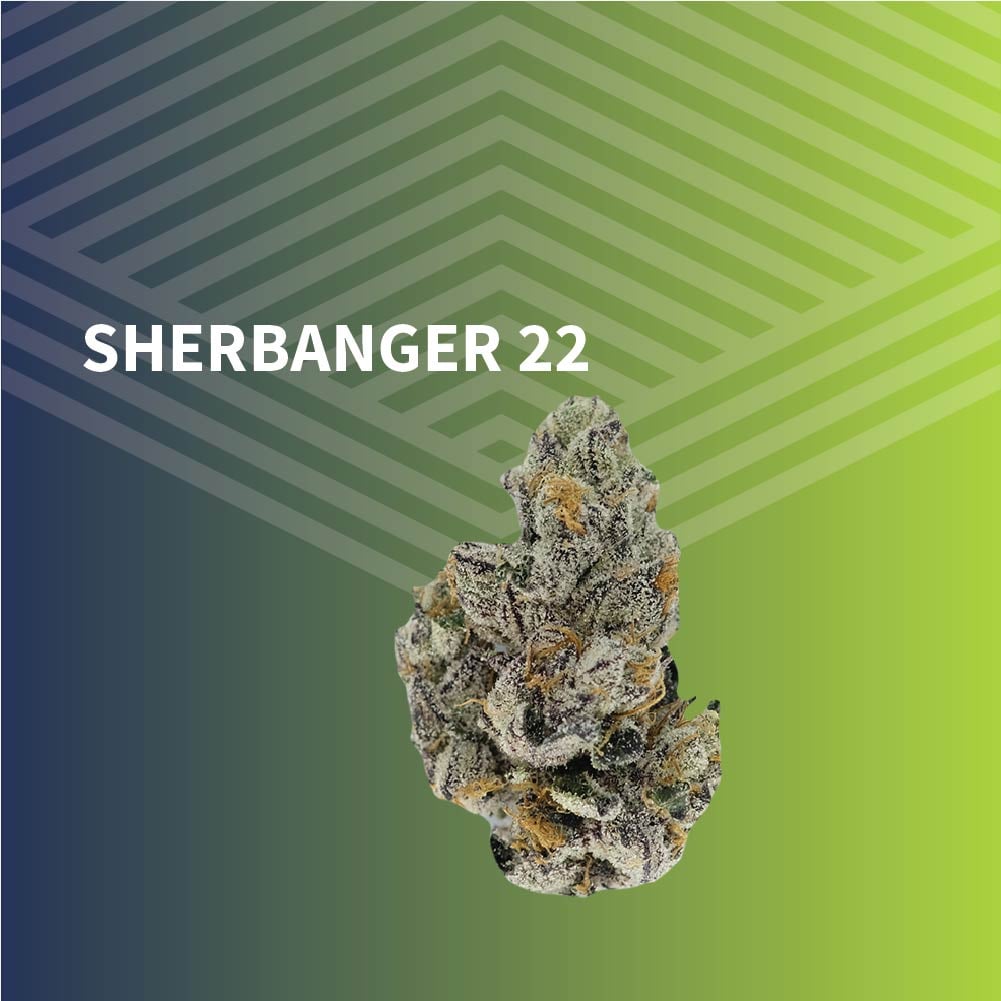 Sherbanger #22