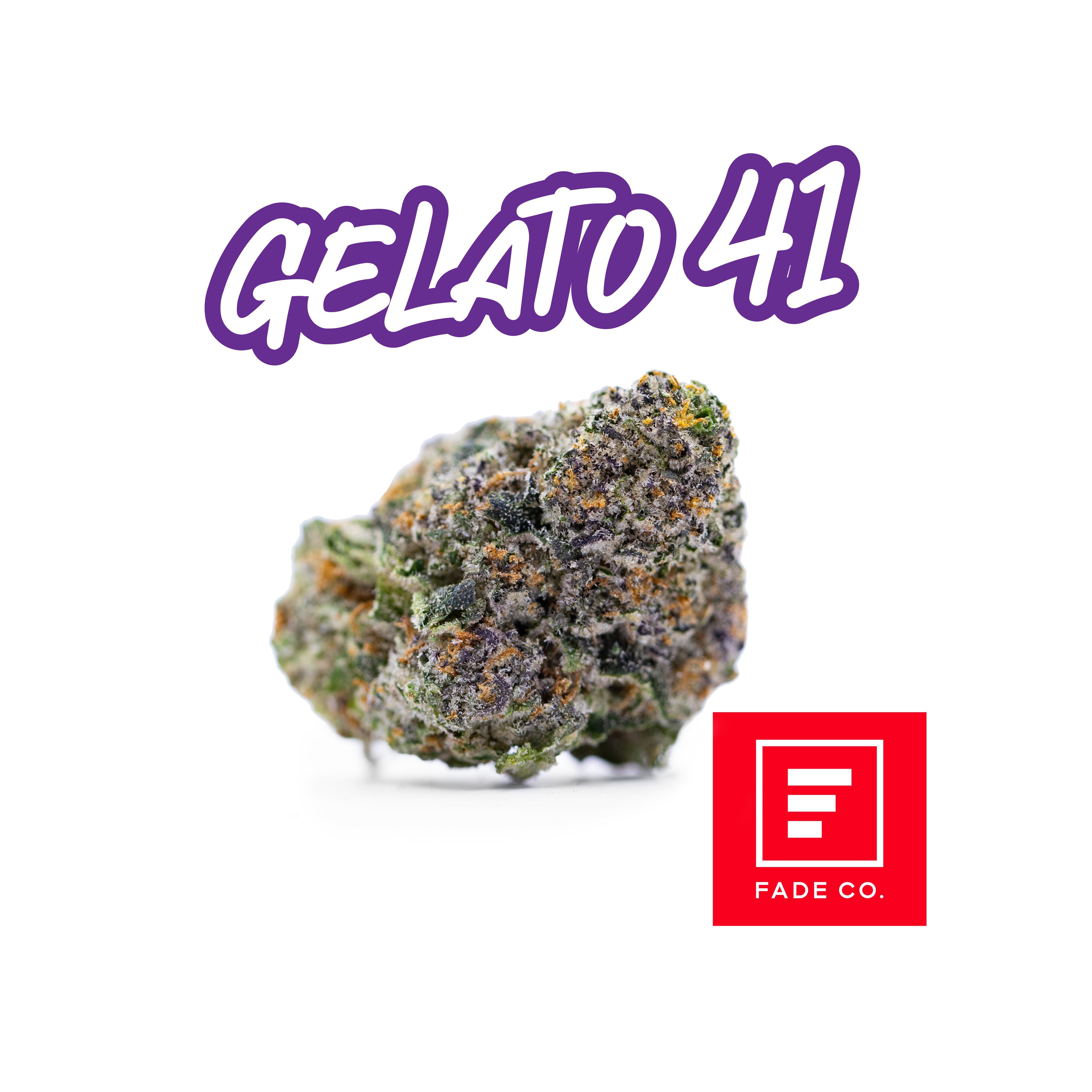 Gelato #41 Gelato #41