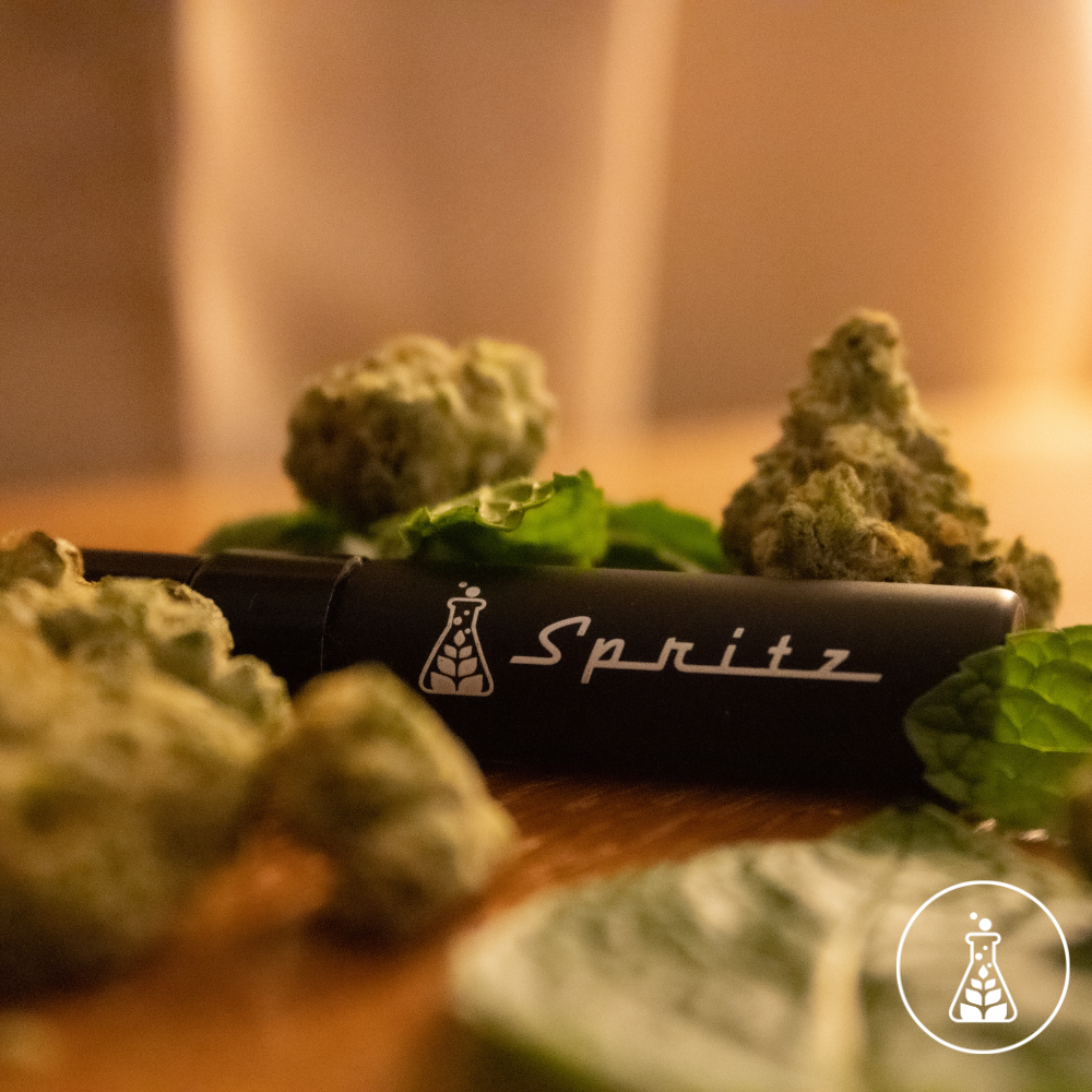 Cinnamint Spritz 100mg, 3ml