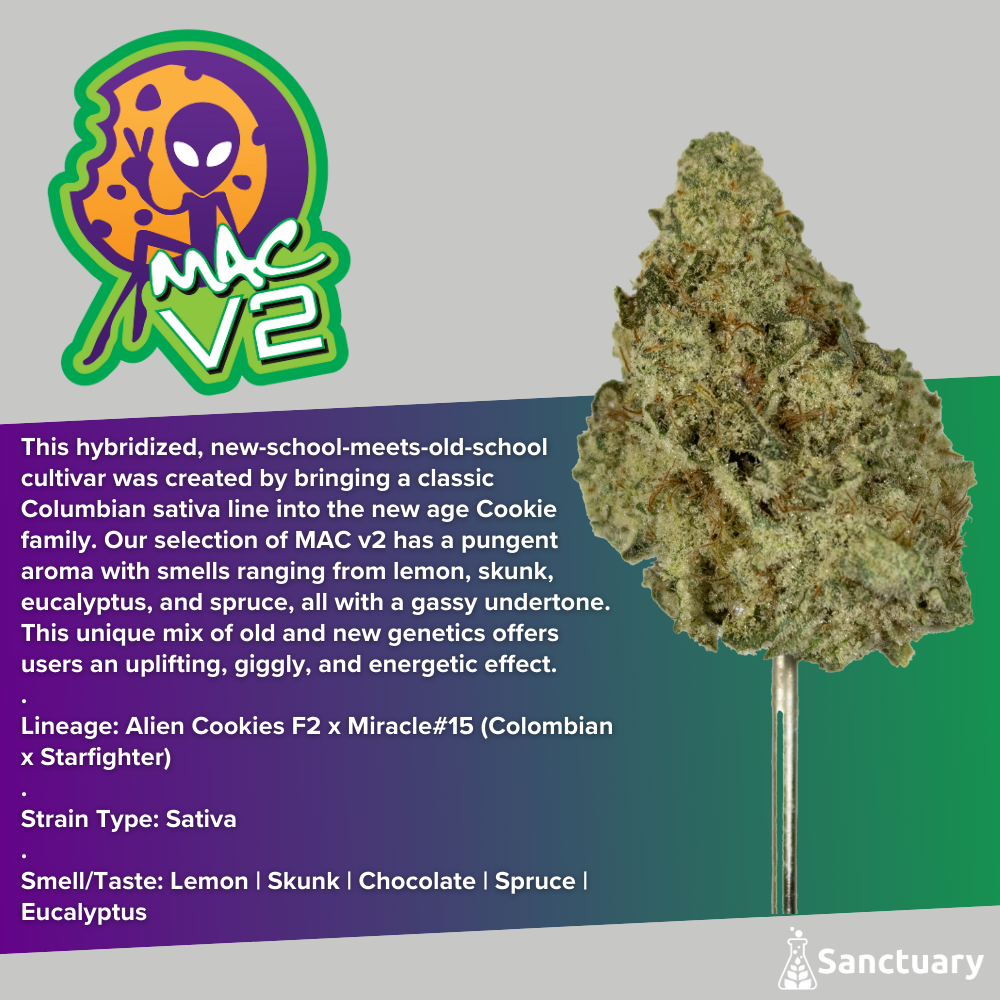 Whole Buds - MAC v2
