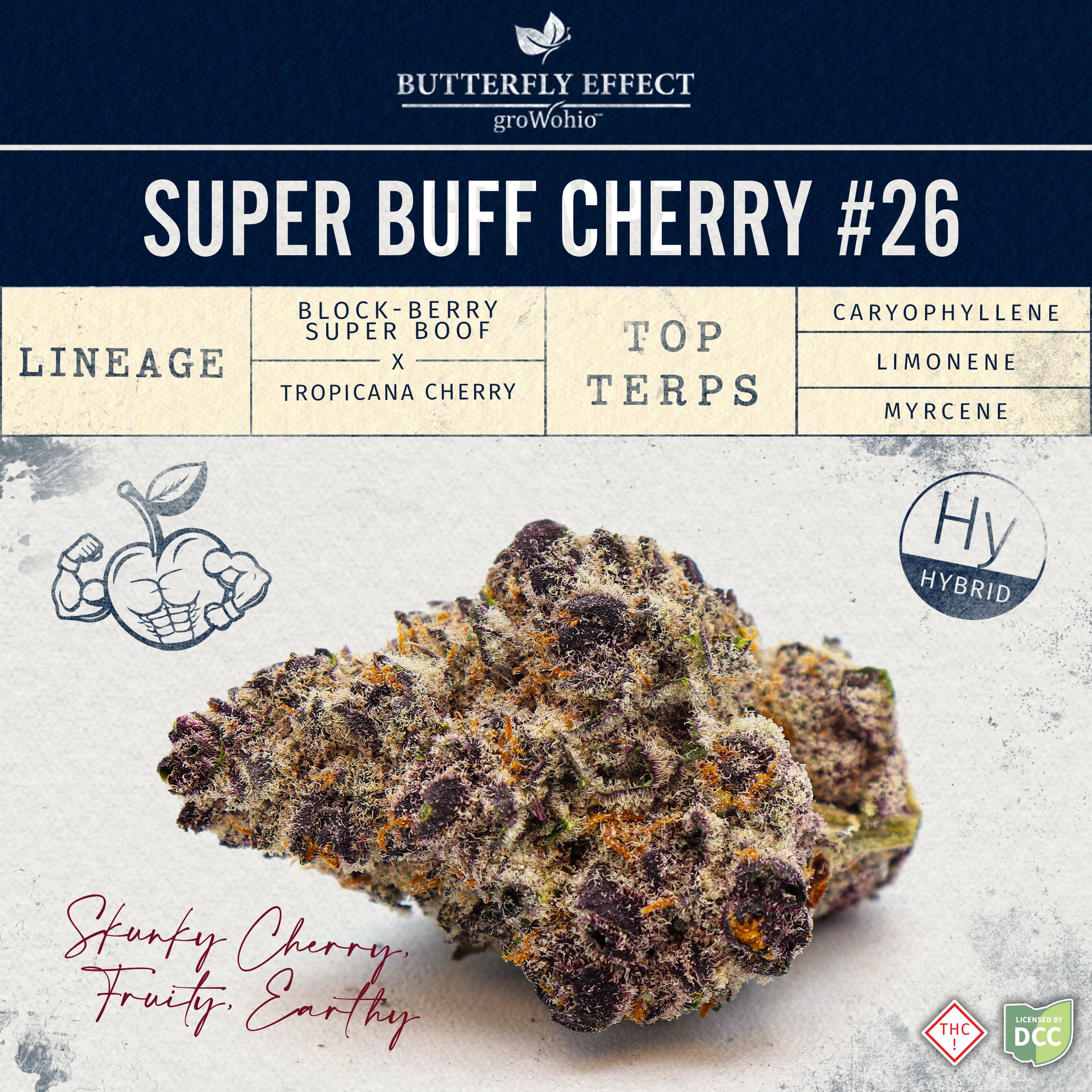 Butterfly Effect - Super Buff Cherry 26 Hybrid