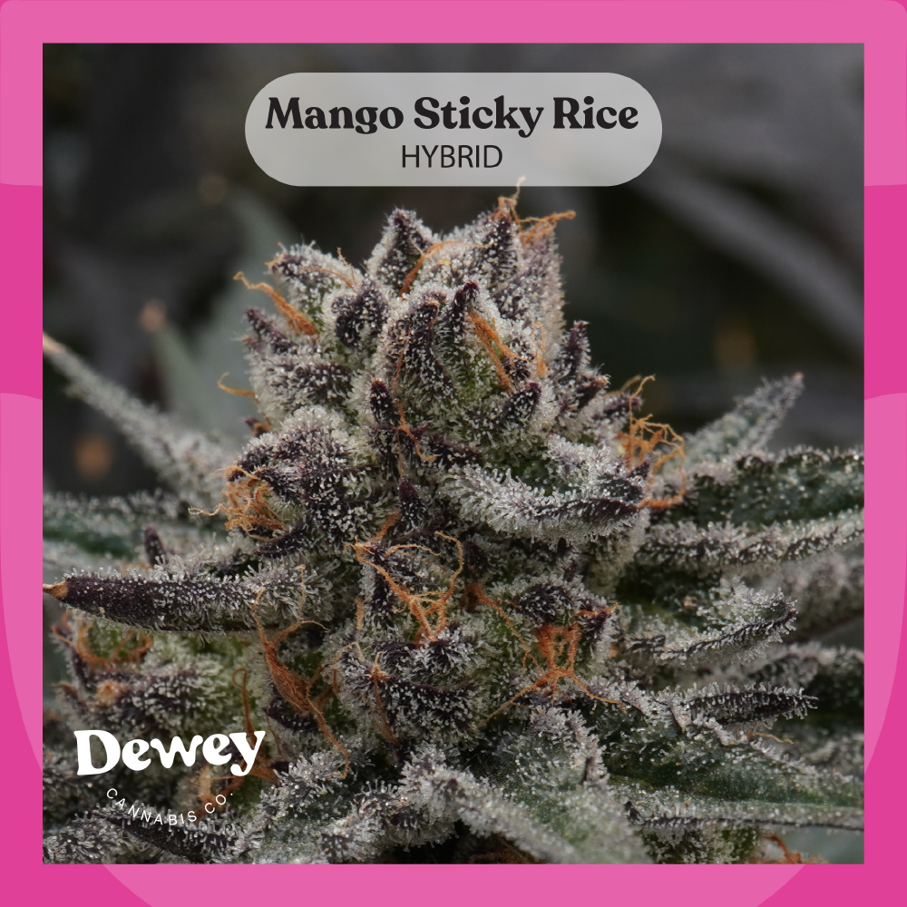 Mango Sticky Rice Mango Sticky Rice