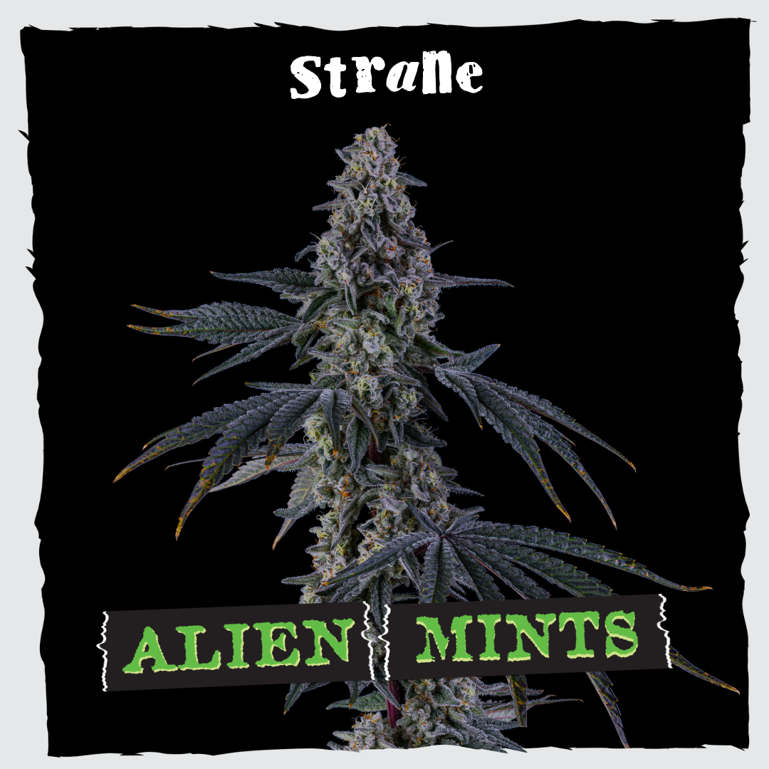 Alien Mints