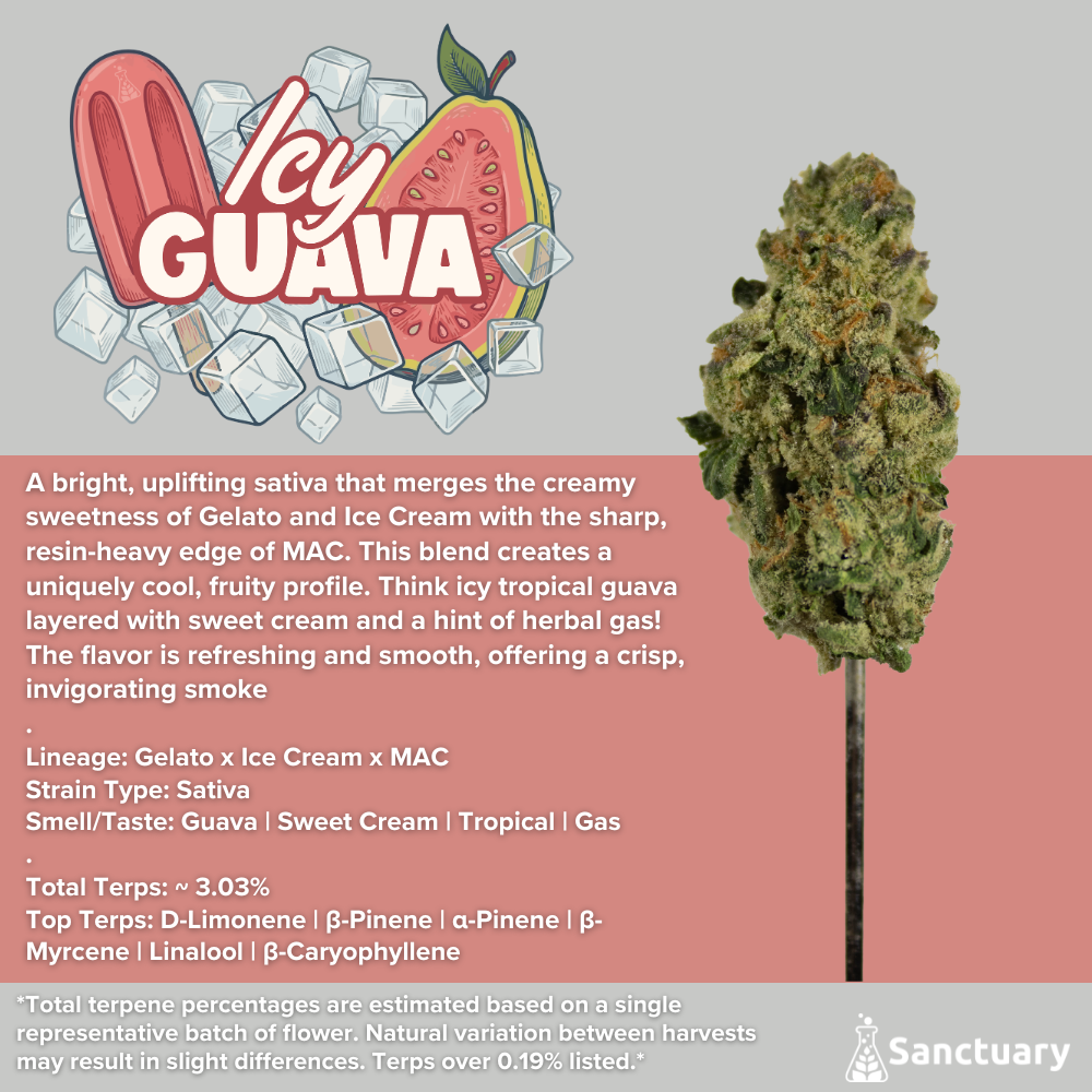 Whole Buds - Icy Guava