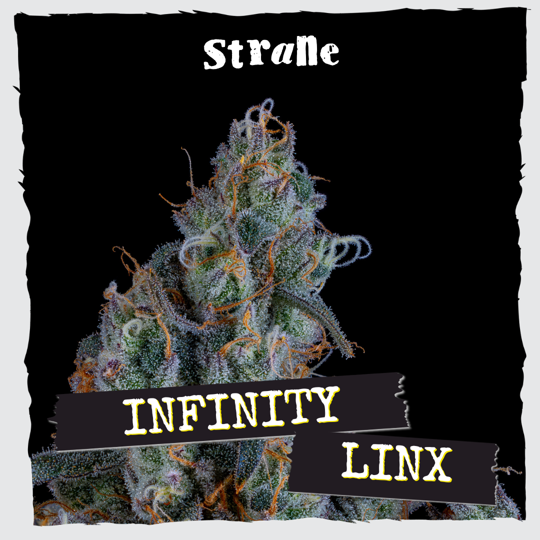 Shop Infinity Linx | Organic Remedies - Enola Dispensary Enola, PA