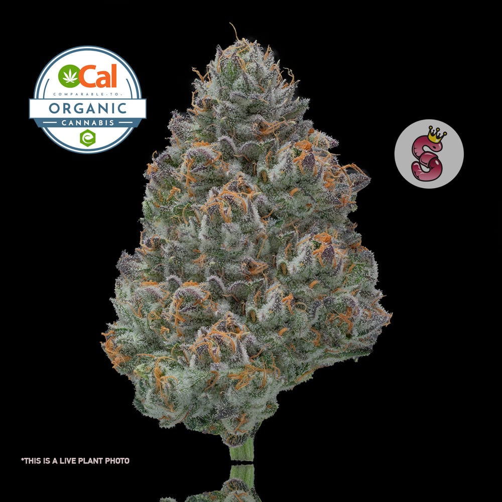 Shop Online – Santa Barbara | Farmacy | California's Finest