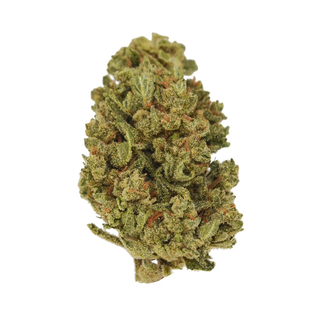 Jet Fuel