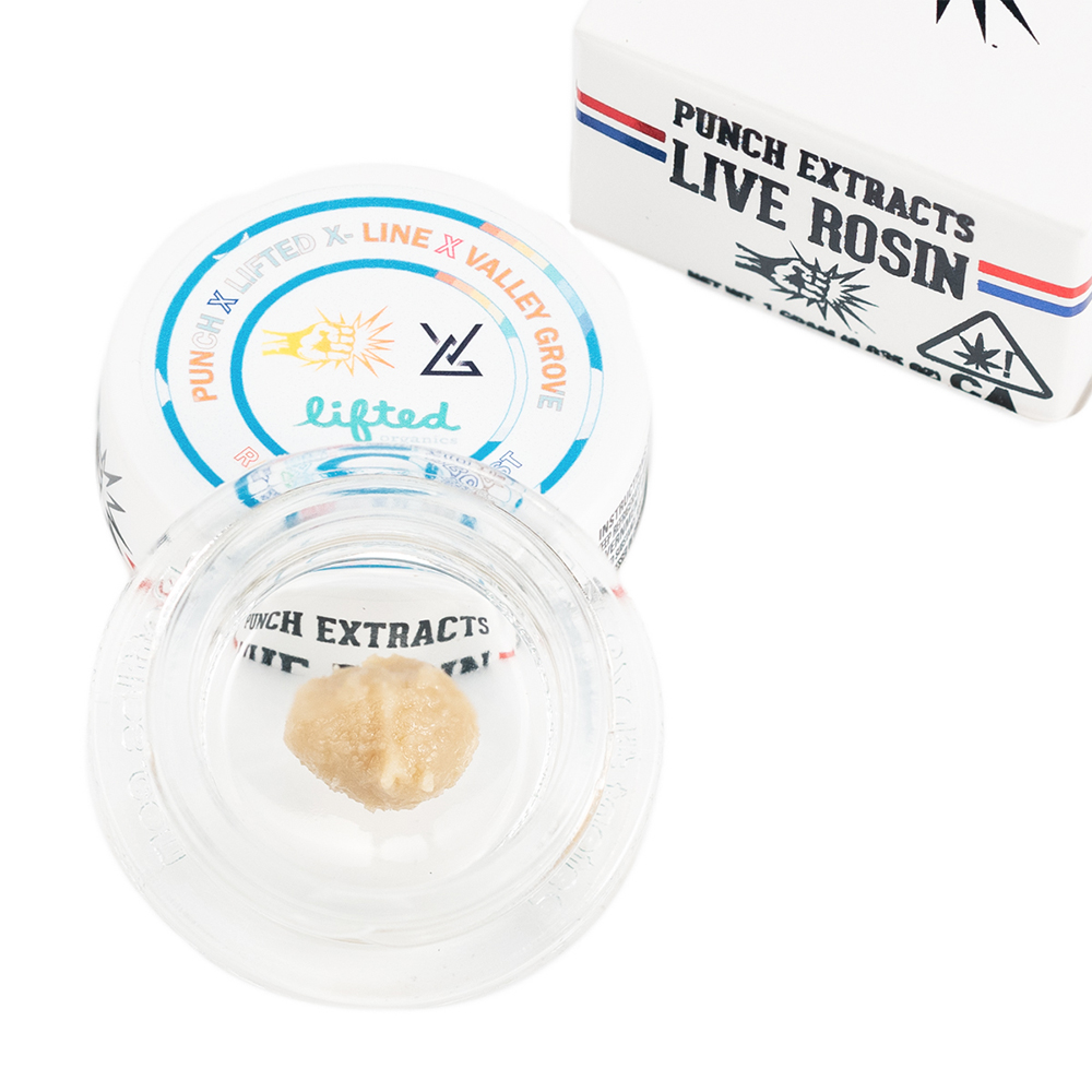 Rainbow Starboom x Fatso Rainbow Starboom x Fatso