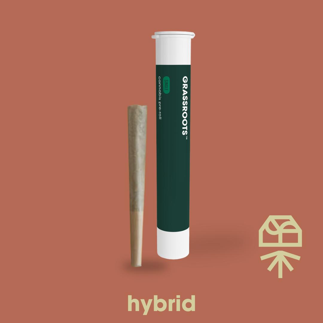 Shop Zesty Garlic Cookies [1g] | The Dispensary - Fulton (MED