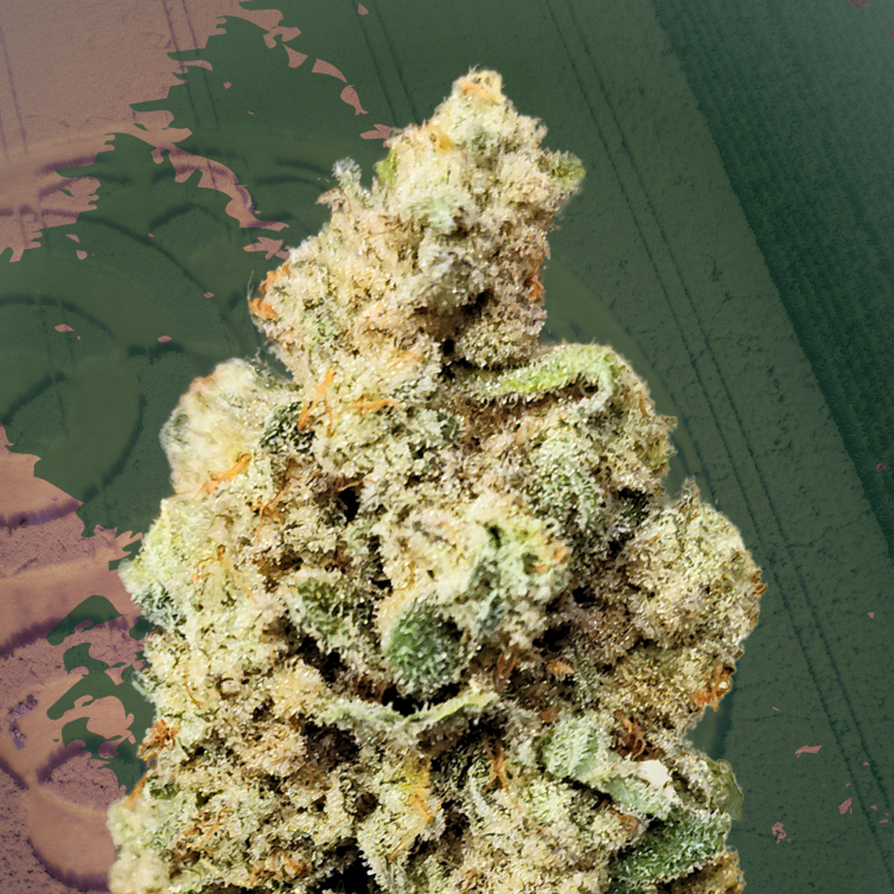 Crop Circlez