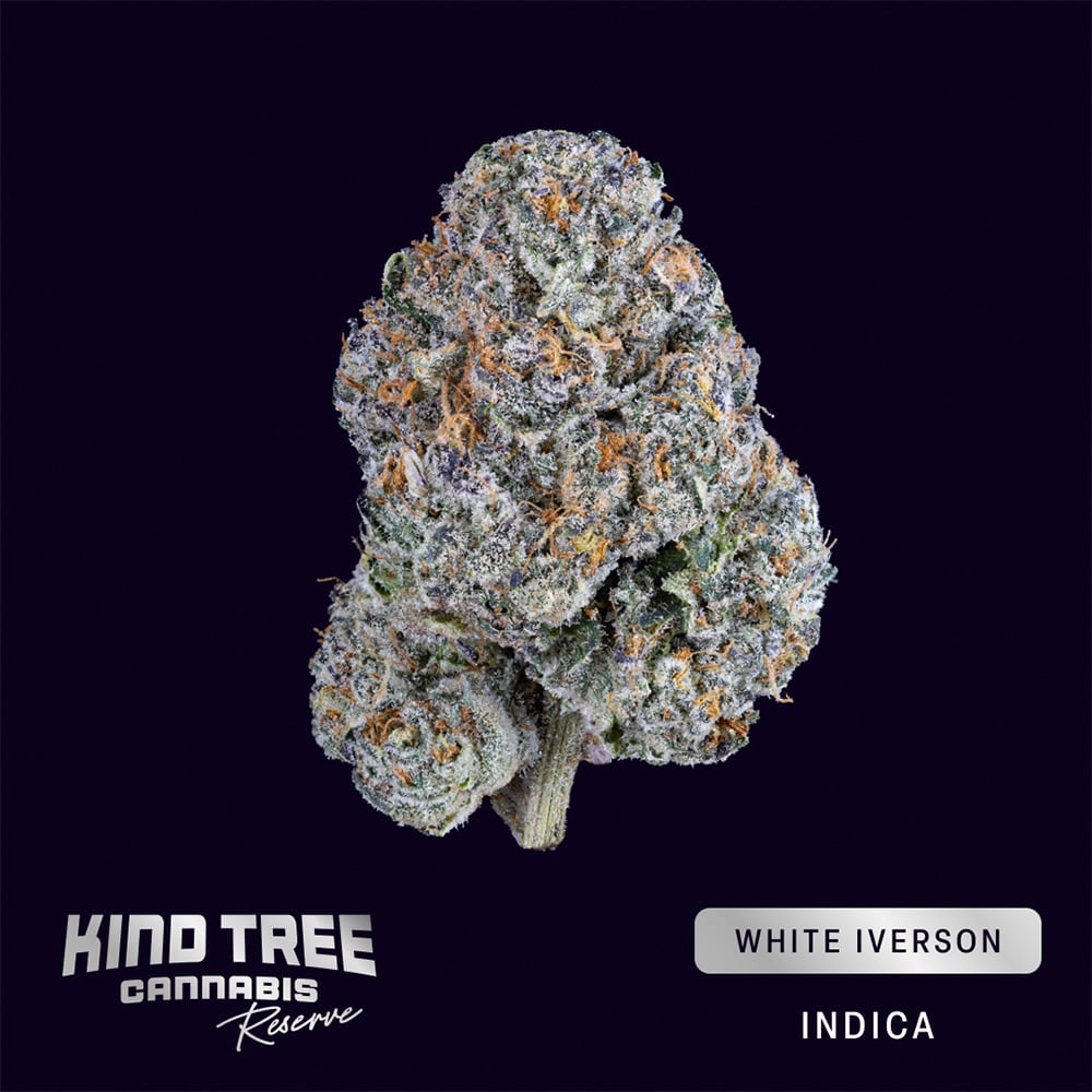 KIND TREE - WHITE IVERSON - RESERVE BUDS  HYBRID