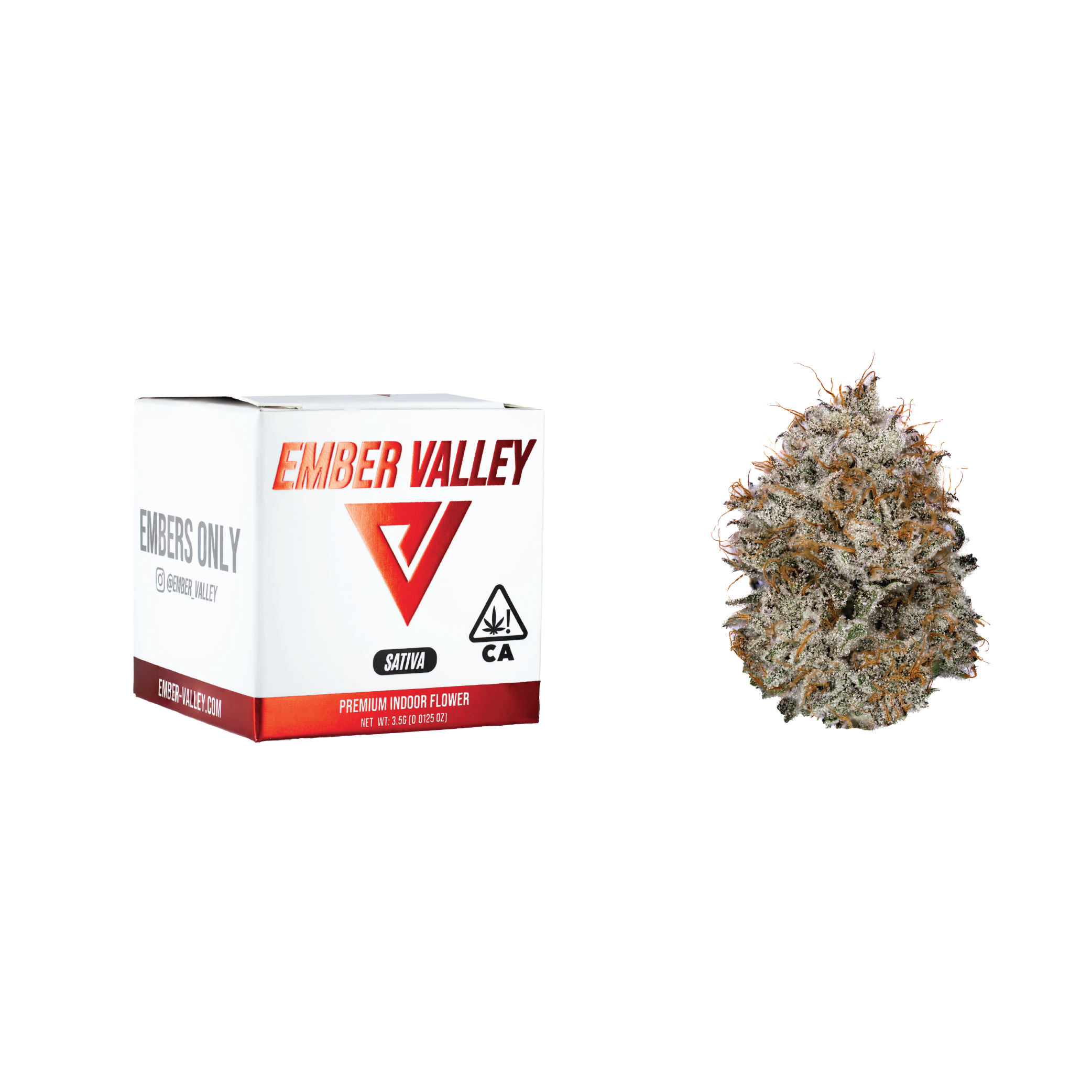 Peach Tartz Peach Tartz