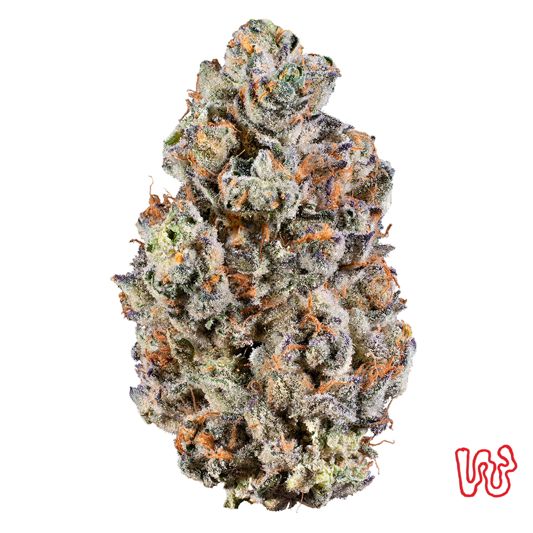 WOODWARD FINE CANNABIS - LEMON CHERRY SHERBERT - MINIS - [14.15G] - INDICA