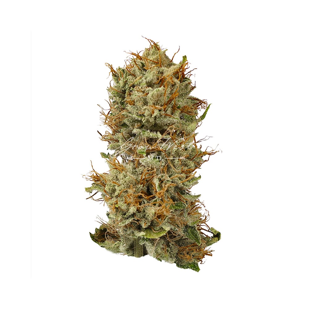 DRT タイニークラッシュ Low TRIBE WEED DRT 新品タイニークラッシュlow もらし #TRIBE WEED Ver2
