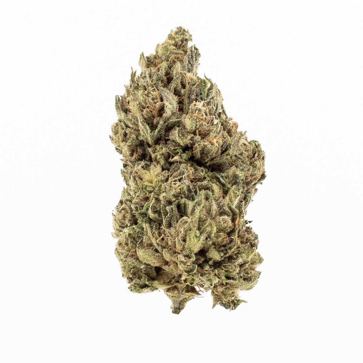 Marijuana Dispensary Near Me in Manitou Springs Maggie's Farm