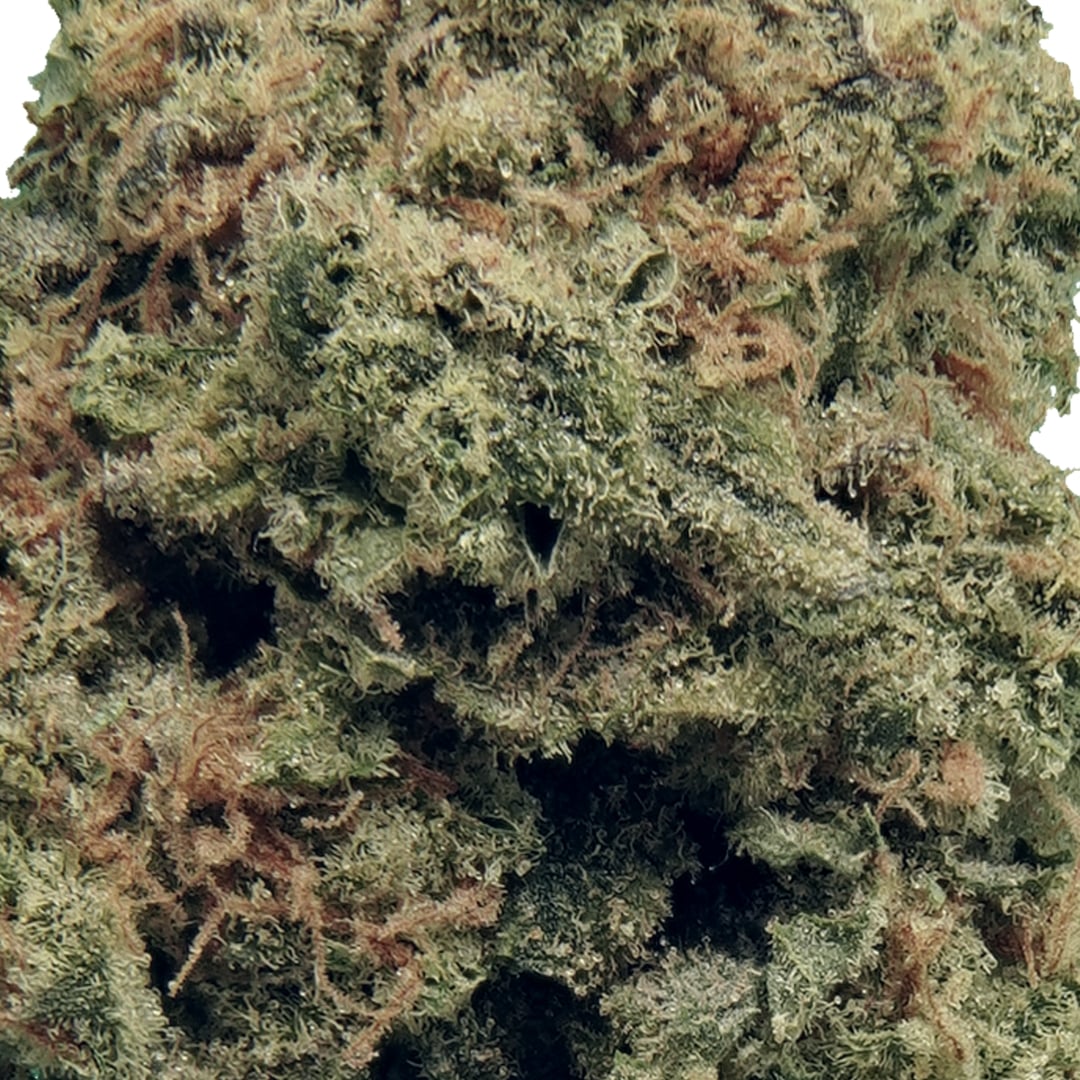 Shop Lilac Cookies BX2 | The Dispensary - Fulton (MED) Fulton, IL