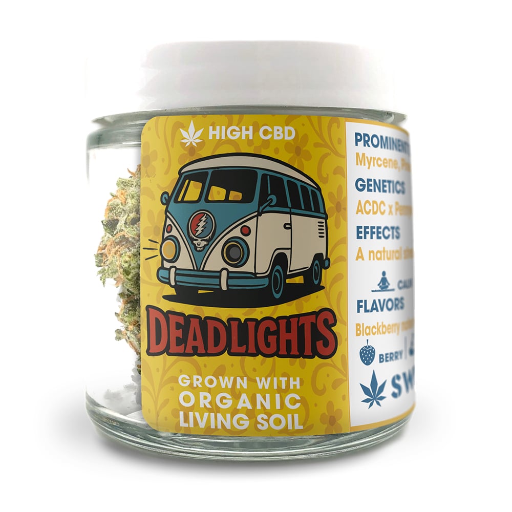 Deadlights