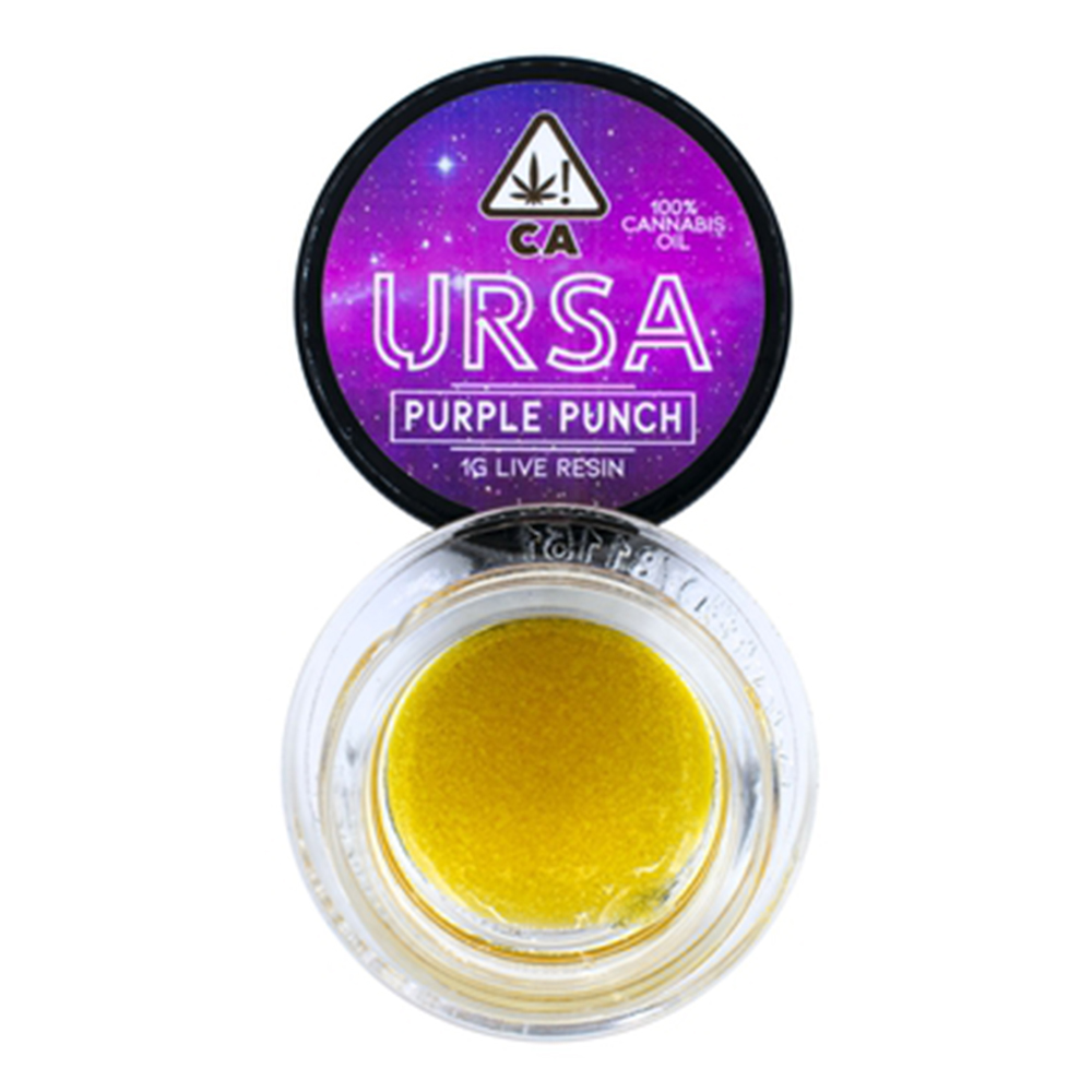 Purple Punch Ursa Extracts Live Resin Jane
