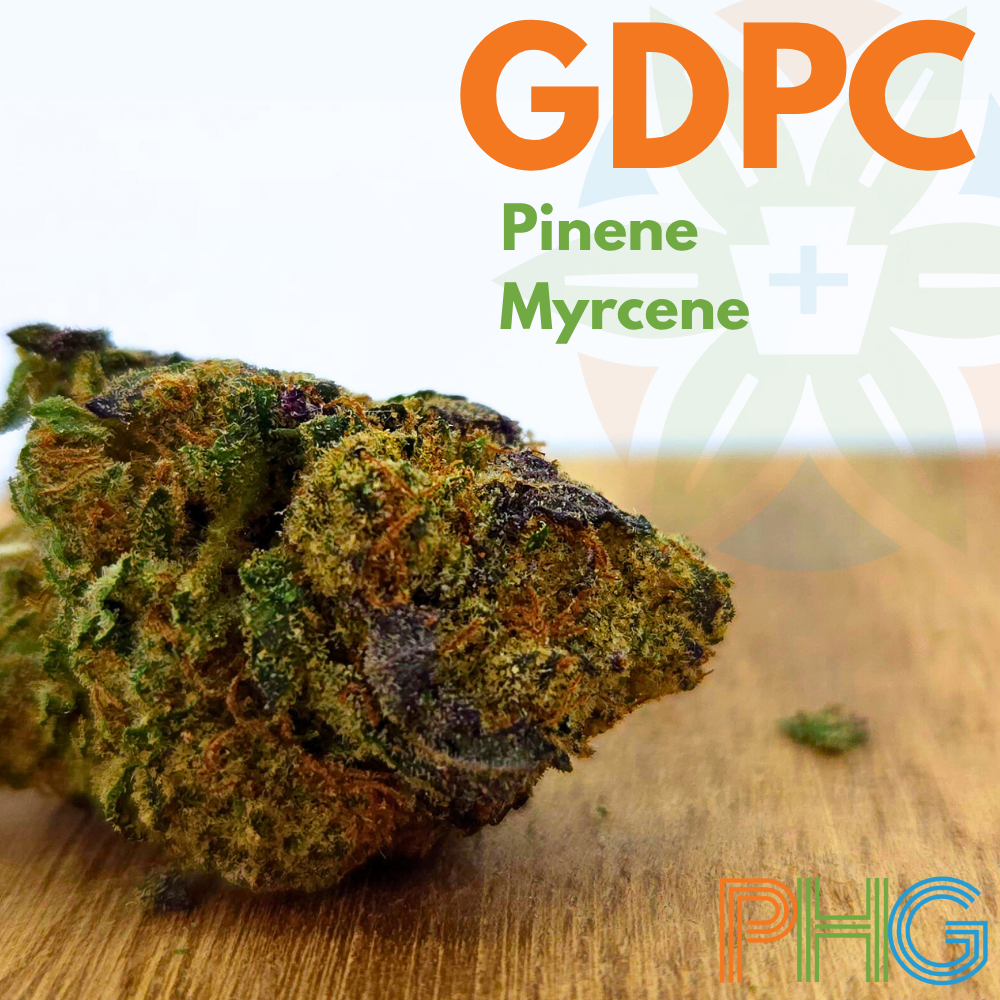 Gdpc Rough Cut